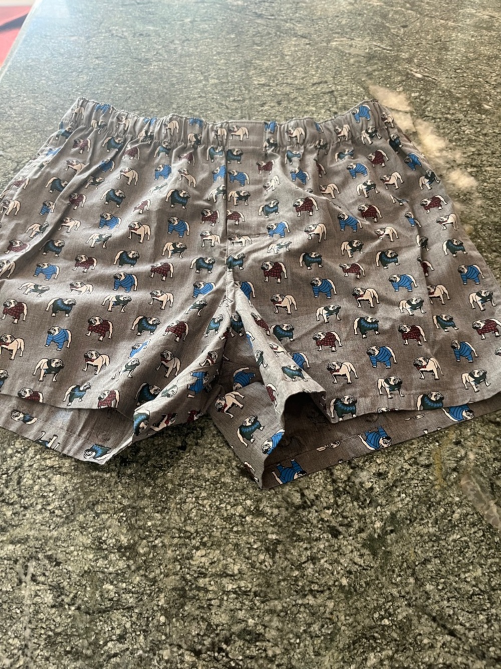 Banana Republic Light Blue & Gray Bulldog Boxer Shorts